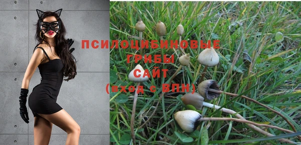 прущие крисы Беломорск