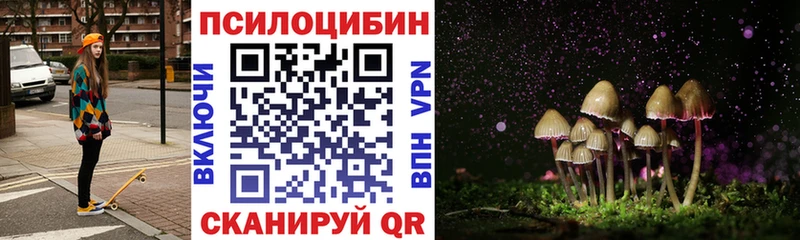 сколько стоит  Медвежьегорск  Псилоцибиновые грибы Psilocybine cubensis 